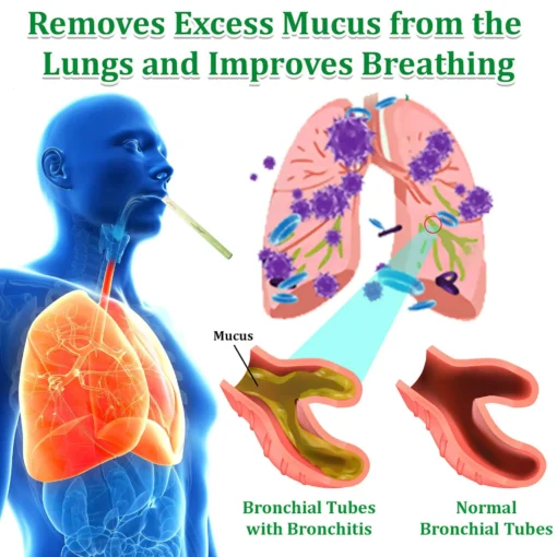 𝐂𝐯𝐫𝐞𝐨𝐳® 𝐌𝐮𝐥𝐥𝐞𝐢𝐧 𝐇𝐞𝐫𝐛𝐚𝐥 𝐋𝐮𝐧𝐠 𝐏𝐮𝐫𝐢𝐟𝐢𝐞𝐫