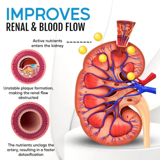 Cvreoz® Kidney Boost & Care Inhaler