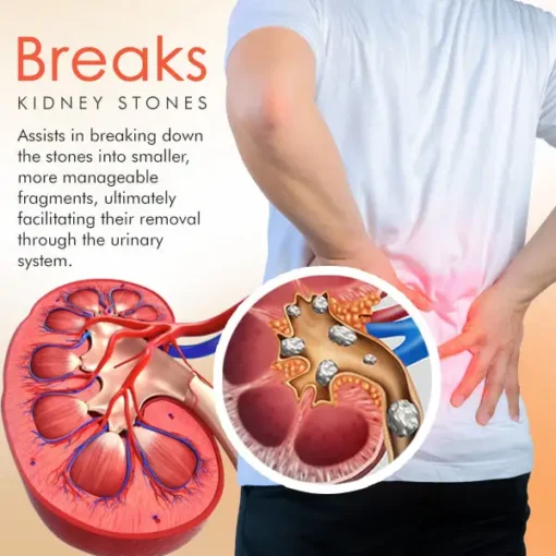 Cvreoz® Kidney Care Patch